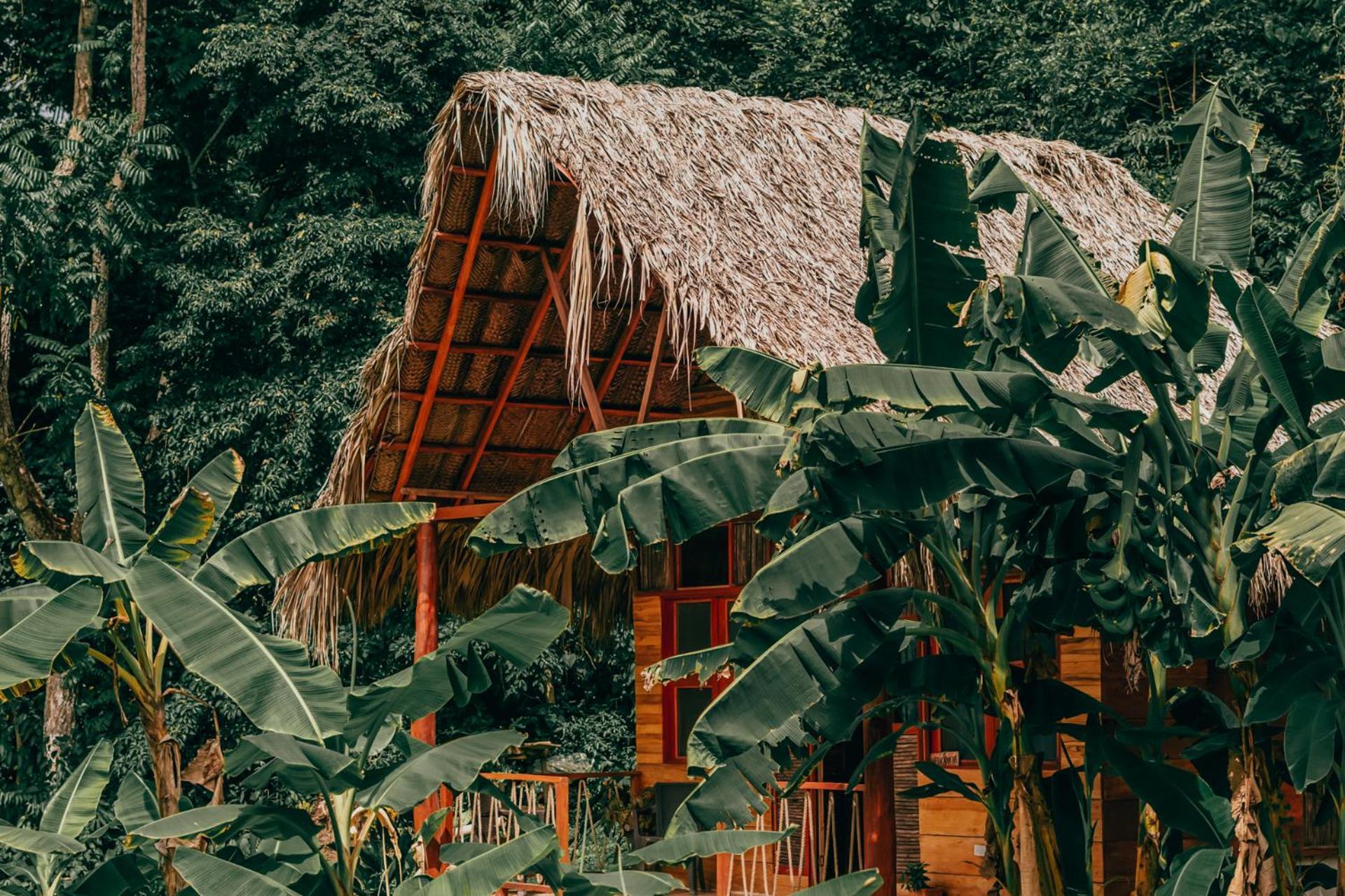 Magic Green Dentro Del Parque Tayrona El Zaino Exterior photo